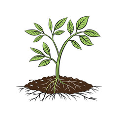 Young green plant sprouting from soil vector illustration. seedling growth concept, eco agriculture, nature symbol graphic