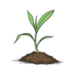 Young green plant sprouting from soil vector illustration. seedling growth concept, eco agriculture, nature symbol graphic