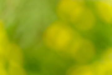 春の光に包まれた緑と黄の抽象背景