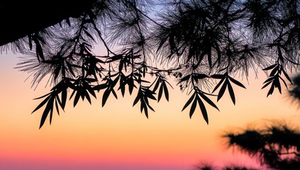 Silhouette of leaves and branches against a vibrant sunset.
