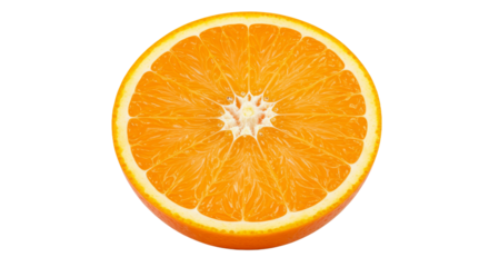 Juicy orange slice a citrus delight