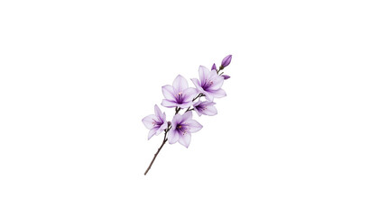 Vibrant purple flower in bloom, a stunning closeup on lush green background