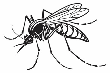 mosquito sihouette black vector