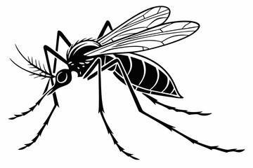 mosquito sihouette black vector