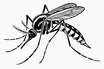 mosquito sihouette black vector