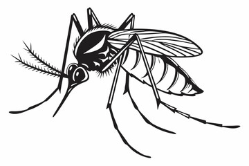 mosquito sihouette black vector