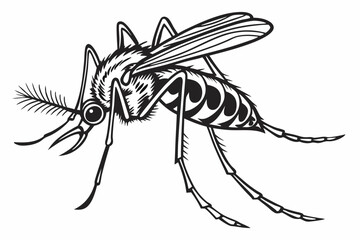 mosquito sihouette black vector