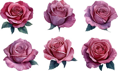 Fototapeta premium bouquet of pink roses flowers