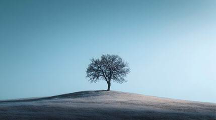 A lone tree stands on a frosted hill against a clear blue sky.