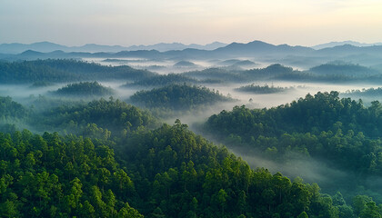 Fototapeta premium Misty Mountain Landscape at Sunrise