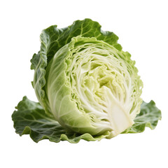 Fresh green head of cabbage, a healthy raw vegetable, isolated on white