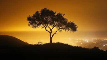 Silhouetted tree overlooks distant city lights at night.