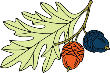 Colorful Oak Leaf And Acorns Illustration Vector Art For Autumn Season