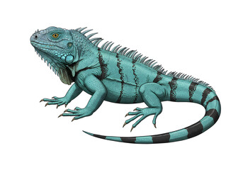 Stunning Teal Iguana Illustration: A Detailed Rendering of a Vibrant Reptile