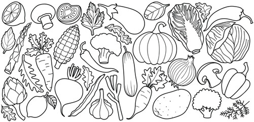Vegetables doodle set with sketch style. Hand drawn vegetable cartoon organic design elements set isolated white background.