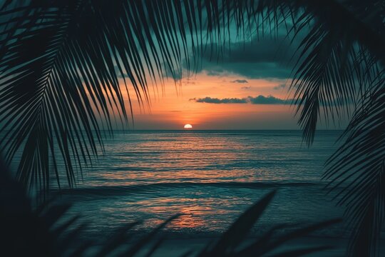 Dark palm trees silhouettes on colorful tropical ocean sunset landscape - Powered by Adobe