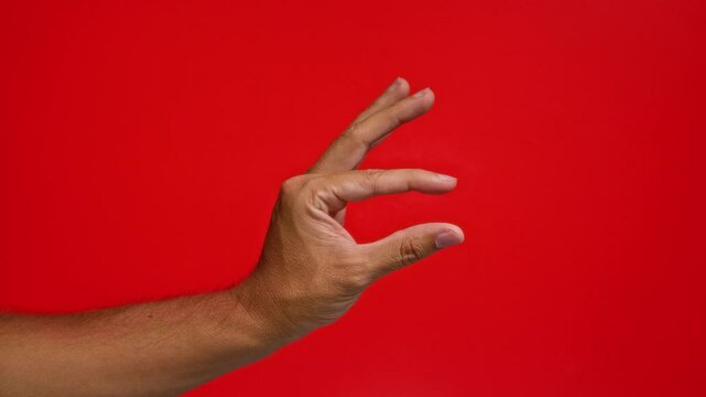 Man making hand gesture with fingers pinched against a vibrant red background