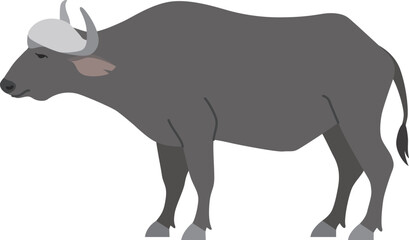 アフリカスイギュウ