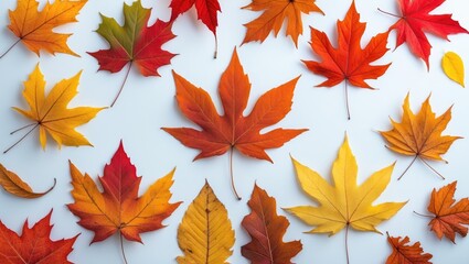 Isolated collection of autumnal leaves with vibrant colors on white background