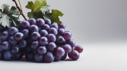 Fototapeta premium Cluster of ripe grapes with leaves on a white background