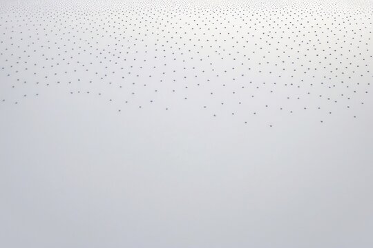 Field of white spheres  a visually striking image of a modern and minimalist abstract art installation, ideal for backgrounds and design concepts.