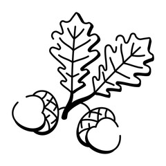 A hand drawn style icon of oak leaf 
