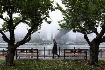 Person walking on foggy day in Roosevelt Island New York City