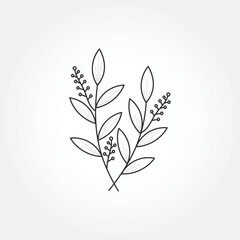 vector hand drawn leaf logo. Minimalist Flowers Simple Line Art Drawing.