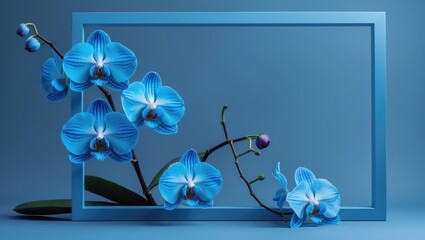 Elegant frame featuring blue orchids showcasing classic blue tones