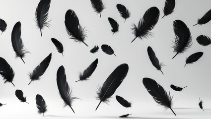 Isolated image of dark black feathers gracefully falling in the air