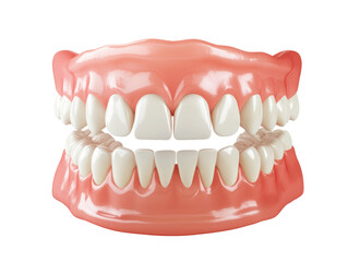 Obraz premium Isolated Complete Set of Dentures, Artificial Teeth