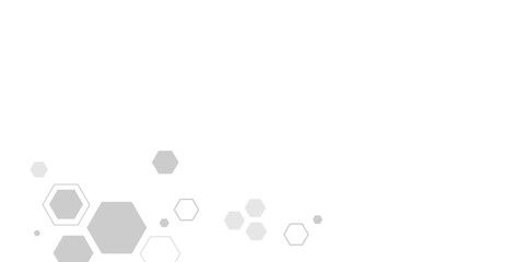 grey and whti hexagon white background wall pattern