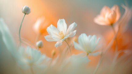 Beautiful spring-themed template with a dreamy orange gradient background, pastel flower composition, and a floral frame for celebrations.