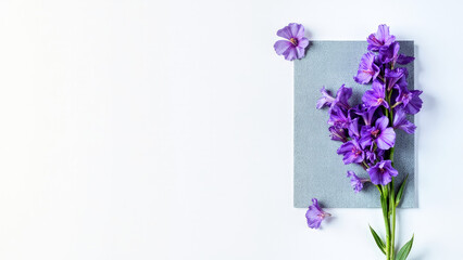Fototapeta premium Elegant arrangement of purple gladiolus flowers on a grey background with white space for design