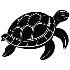 Vector illustration of a cute baby cartoon turtle, a slow wild reptile with a shell, isolated on white for animal and pet themes