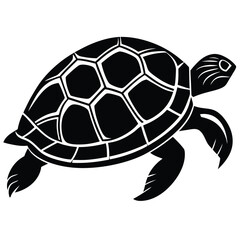 Obraz premium Vector illustration of a cute baby cartoon turtle, a slow wild reptile with a shell, isolated on white for animal and pet themes