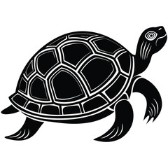Vector illustration of a cute baby cartoon turtle, a slow wild reptile with a shell, isolated on white for animal and pet themes