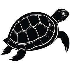 Vector illustration of a cute baby cartoon turtle, a slow wild reptile with a shell, isolated on white for animal and pet themes