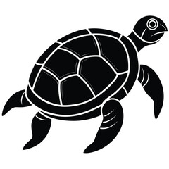 Vector illustration of a cute baby cartoon turtle, a slow wild reptile with a shell, isolated on white for animal and pet themes