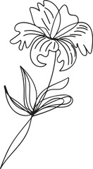 Elegant Single Line Drawing of a Lily Flower with Leaves