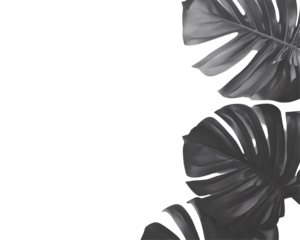 a group of black leaves