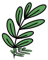 branch with green leaves