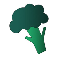 Grocery Broccoli