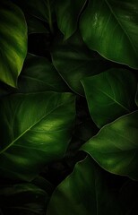 green leaves background