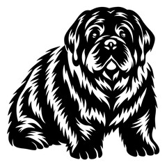 Black and white vector image of a fluffy Newfoundland dog sitting patiently
