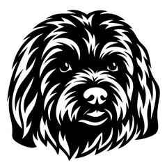 Detailed Black and White Illustration of a Cute Havanese Dog Head