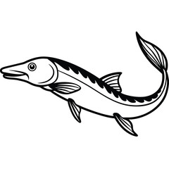 Black and White Sturgeon Fish Line Art – Vintage Aquatic Illustration