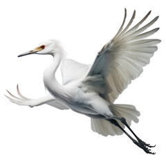 Fototapeta premium Majestic White Heron in Flight Against a Clean Background, Capturing Nature's Grace and Beauty on transparent background