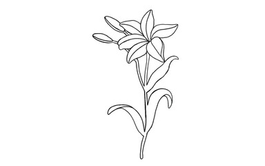 flower Outline