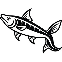 Vintage Black and White Fish Illustrations – Pike and Barracuda Art